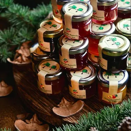 Αρχοντικό Ταρσούνα Hotel